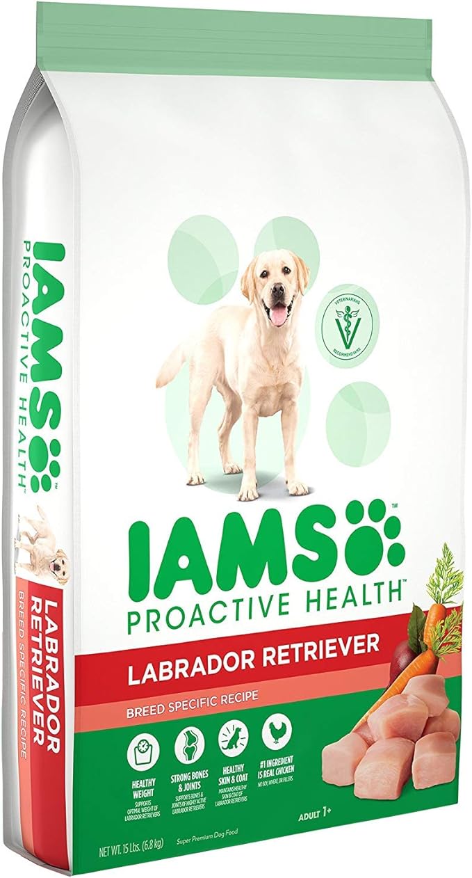 iams proactive health labrador retriever