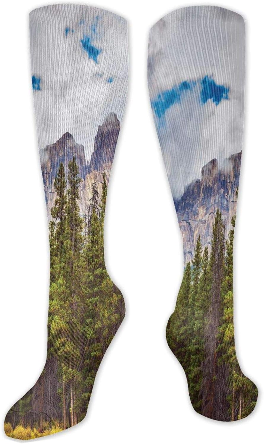novelty socks,Rocky Mountains Majestic Look Canada Evergreen Aspen