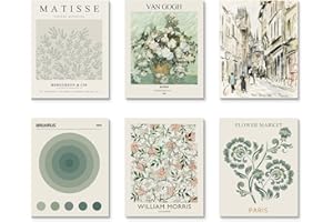 Habseligkeit Sage Green Master Wall Art Prints, Abstract Matisse Wall Art Exhibition Posters, Vintage Art Boho Art Prints, Retro Room Decor for Aesthetic Bedroom（11x14inch, Unframed