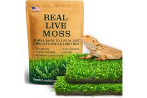 LUCKYRUNES Live Moss for Reptiles - Terrarium Moss for Reptiles Peat Moss for Reptiles Habitat Bedding Moss for Snakes Turtle Frog Gecko and Other Reptiles Substrate 50 Square inches Live Moss