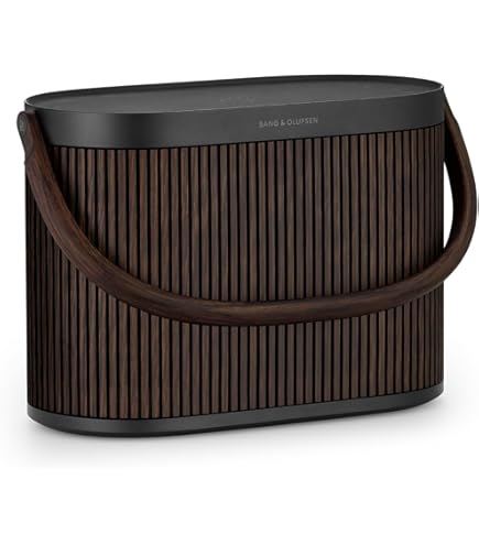 Amazon.com: Bang & Olufsen Beoplay A1 Portable Bluetooth