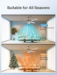 warmiplanet Ceiling Fans with Lights and Remote