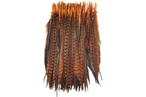 KOLIGHT Set of 10pcs Natural Dyed Pheasant Tails Feathers 12-14 Inch DIY Decoration (Orange)