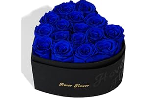 Hover Flower Preserved Roses in a Box, 16-piece Real Forever Flowers Eternal Roses for Her, birthday gift for women, Girlfriend, Mom, wedding anniversary (Blue)