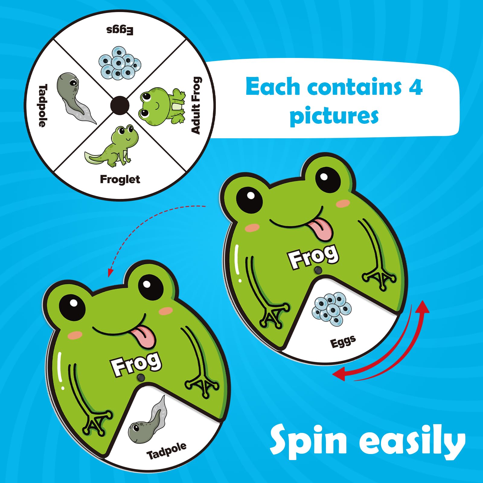 Life Cycle Toys for Kids,Animal Plant Insect Bug Ladybug Butterfly Tadpole to Frog Kit,Montessori Learning & Education Toys,Preschool Science Learning Activities for Toddlers,Board Card Games