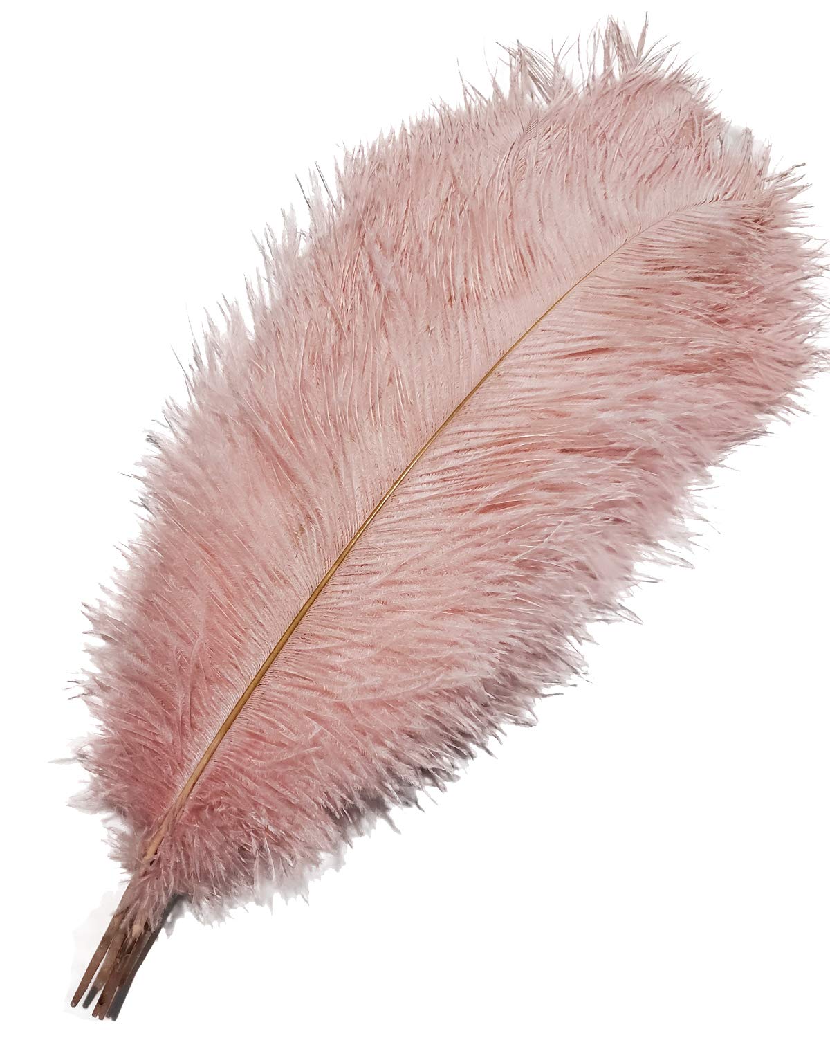 Photo 1 of Happy Feather 16-18 inch Pink Ostrich Feathers Cratfs for Wedding Party Centerpieces Home Decoration DIY Craft Pack of 10