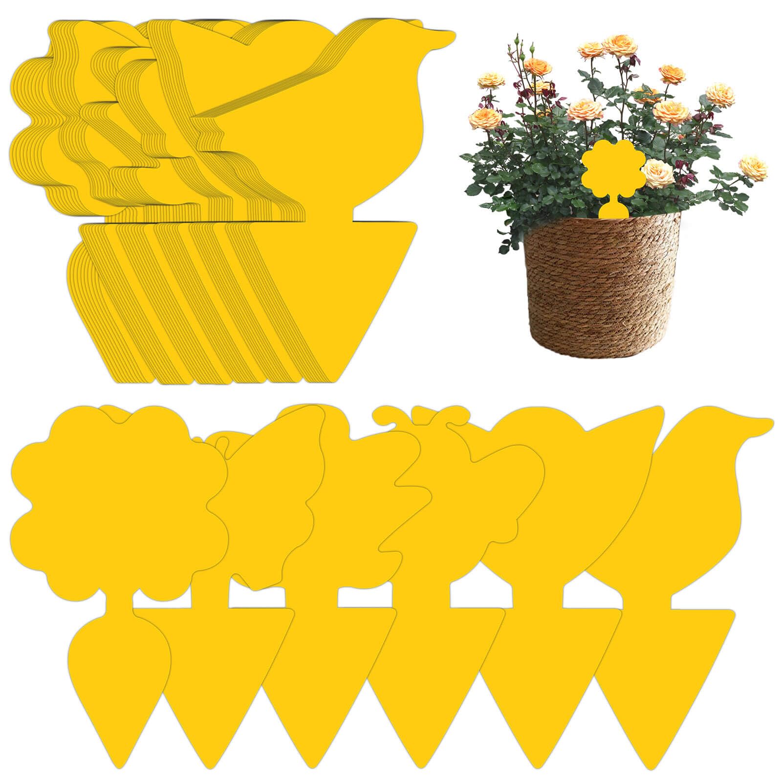 Fruit Fly Traps 60 Pcs, Fly Paper Indoor, Sticky Fly Trap, Fruit Fly Catcher Yellow Double-Sided Fungus, Gnats Killer Indoor Plants for Indoor and Outdoor Plant Fly Multiple Pests Control - Waterproof