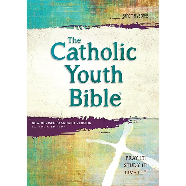 Outlined Bible: Robert Lee: 9780720805147: Amazon.com: Books