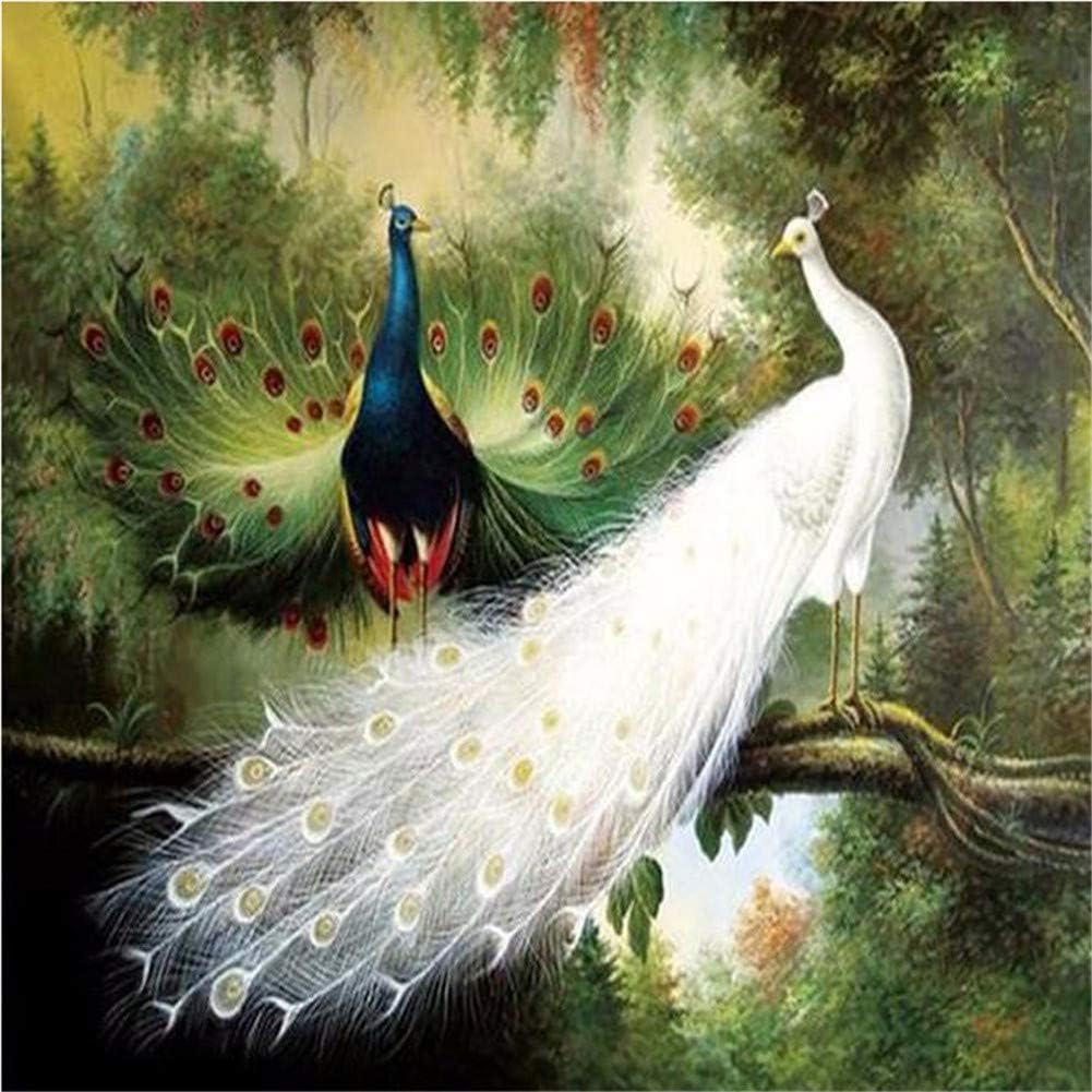 DIY Diamond 5D Embroidery Paintings Rhinestone Pasted DIY Forest Peacock Love Painting Cross Stitch 12x12 inch / 30x30 cm