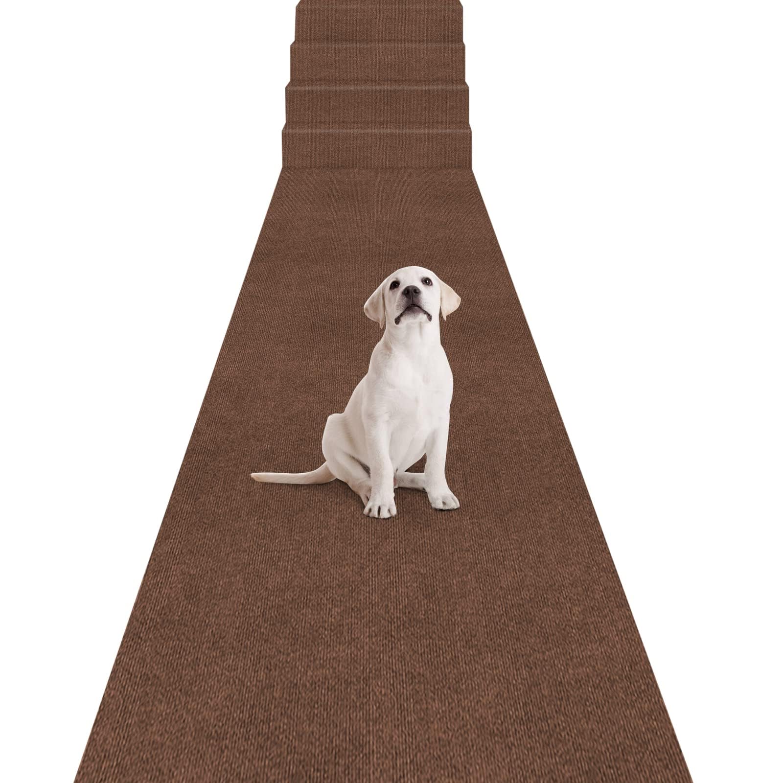 超特価セール ✨