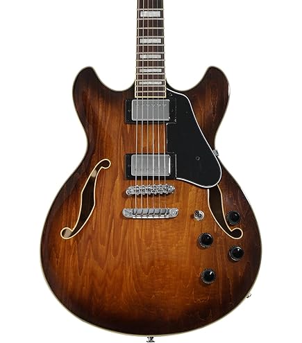 Amazon.com: Ibanez Artcore Expressionist AS93FM - Violin Sunburst