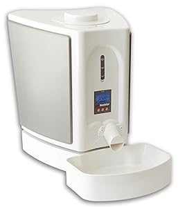Best 5 Raccoon Proof Cat Feeders How To Keep Raccoons Out Of Cat