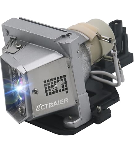 Amazon.com: RLC-079 Replacement Projector Lamp with Housing for