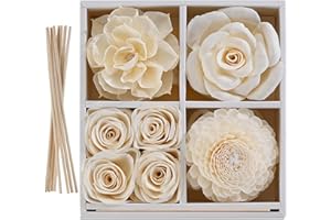 JEAR PEAN Flower Reed Diffuser Sola Wood Flowers Natural Material Aromatherapy Reed Decorative Aromatherapy Flower Refill Diffuser Reeds, 7Pcs Flower, 7Pcs Rope, 8 Pcs Diffuser Rattan (2-3.5 Inches, White)