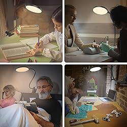 iFalarila Reading Light with Remote, LED Desk Lamp