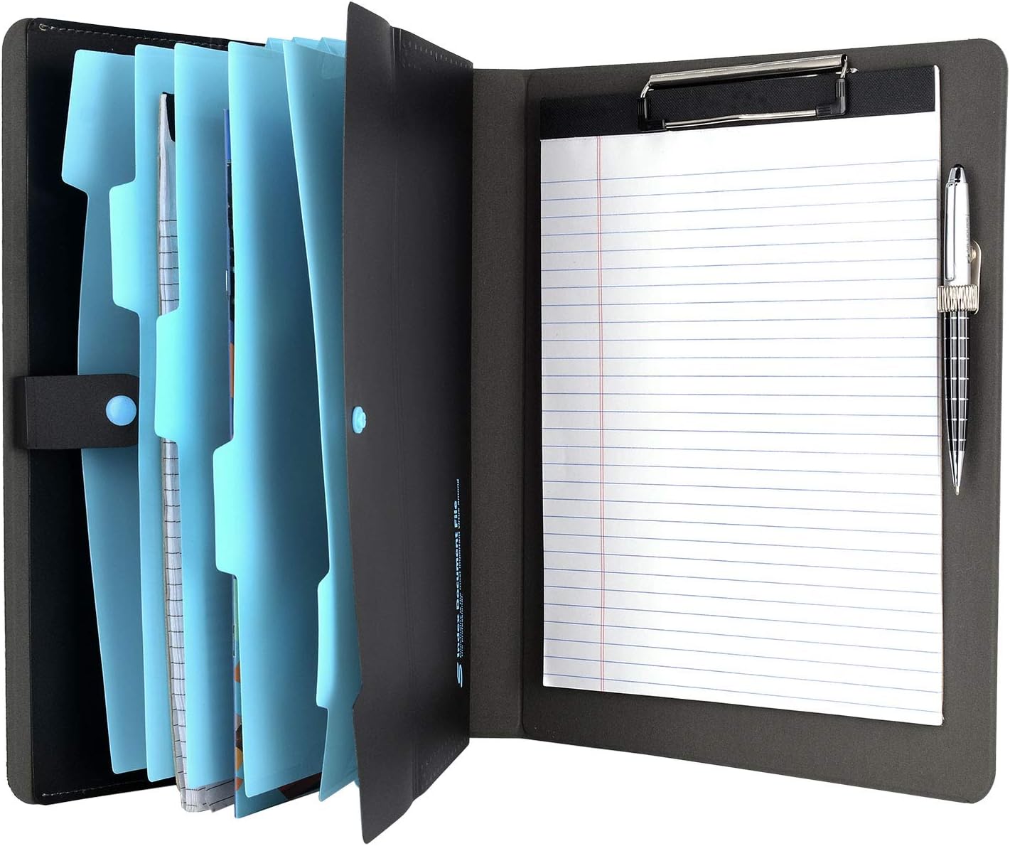 File Organizer Portfolio Case 
