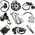 Complete Wiring Harness Kit, Powersports Wiring Harnesses Kit, Gy6 150cc Wiring Harness, 150cc ATV Wiring Harness Kit for ATV Quad 4 Four Wheelers 150CC 200CC 250CC Go Kart Wiring Harness