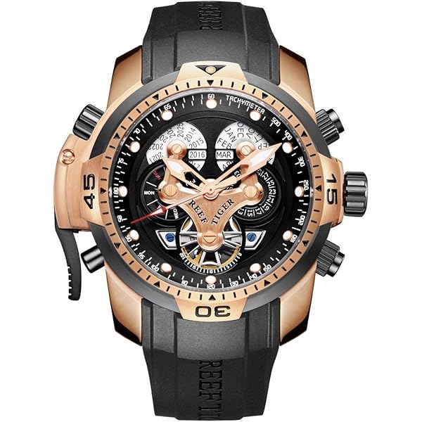 Amazon.com: REEF TIGER Mens Sport Mechanical Watches with Steel