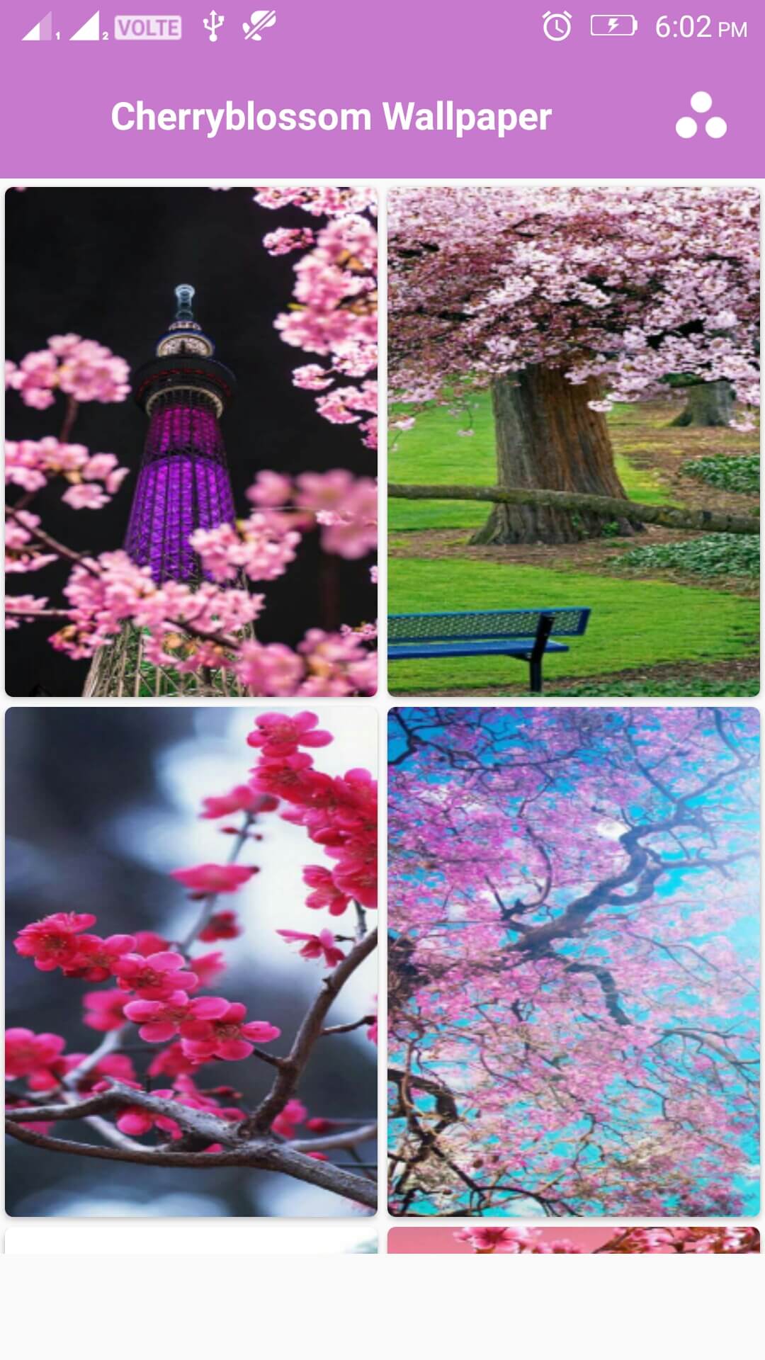 90 Wallpaper Cherry Blossom Flower Beautiful