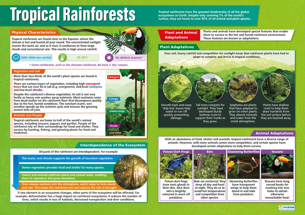 Daydream Education Tropical Rainforests | Geography Posters | Gloss Paper measuring 850mm x 594mm (A1) | Geography Classroom Posters | Education Charts