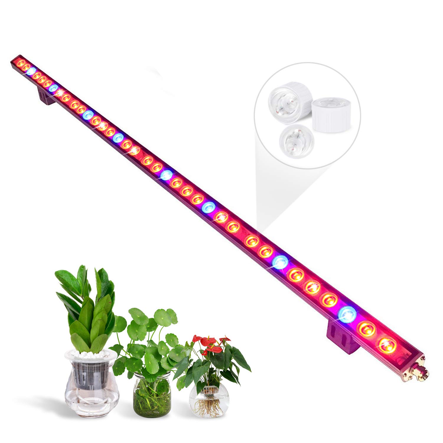 Proiettore LED 10W Rosso Profondo 660nm Per Coltivazione Piante – Luce Crescita Esterna 12V