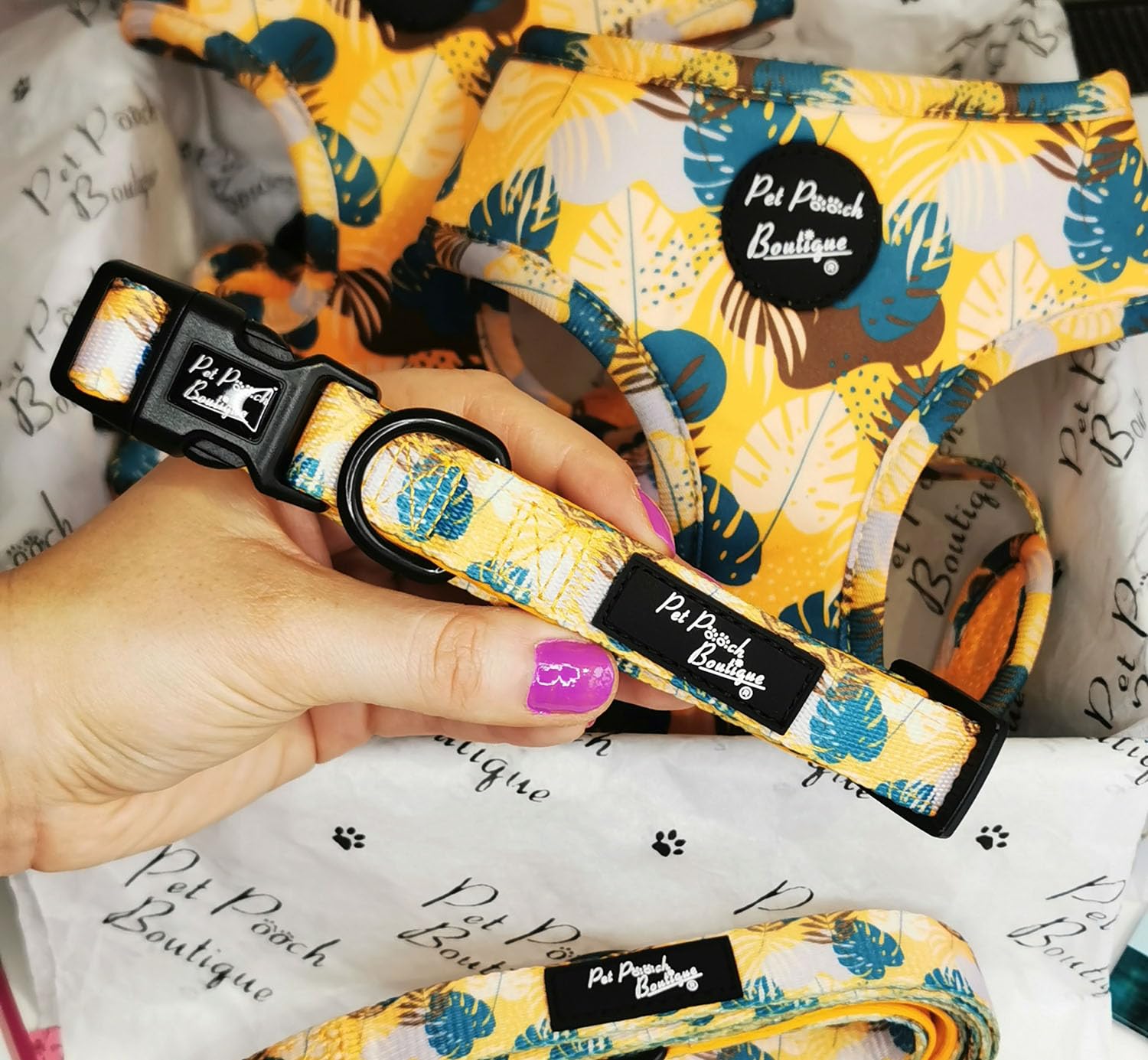 Jungle Rock Dog Collar XS