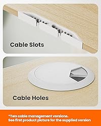 ErGear Height Adjustable Electric Standing Desk, 48
