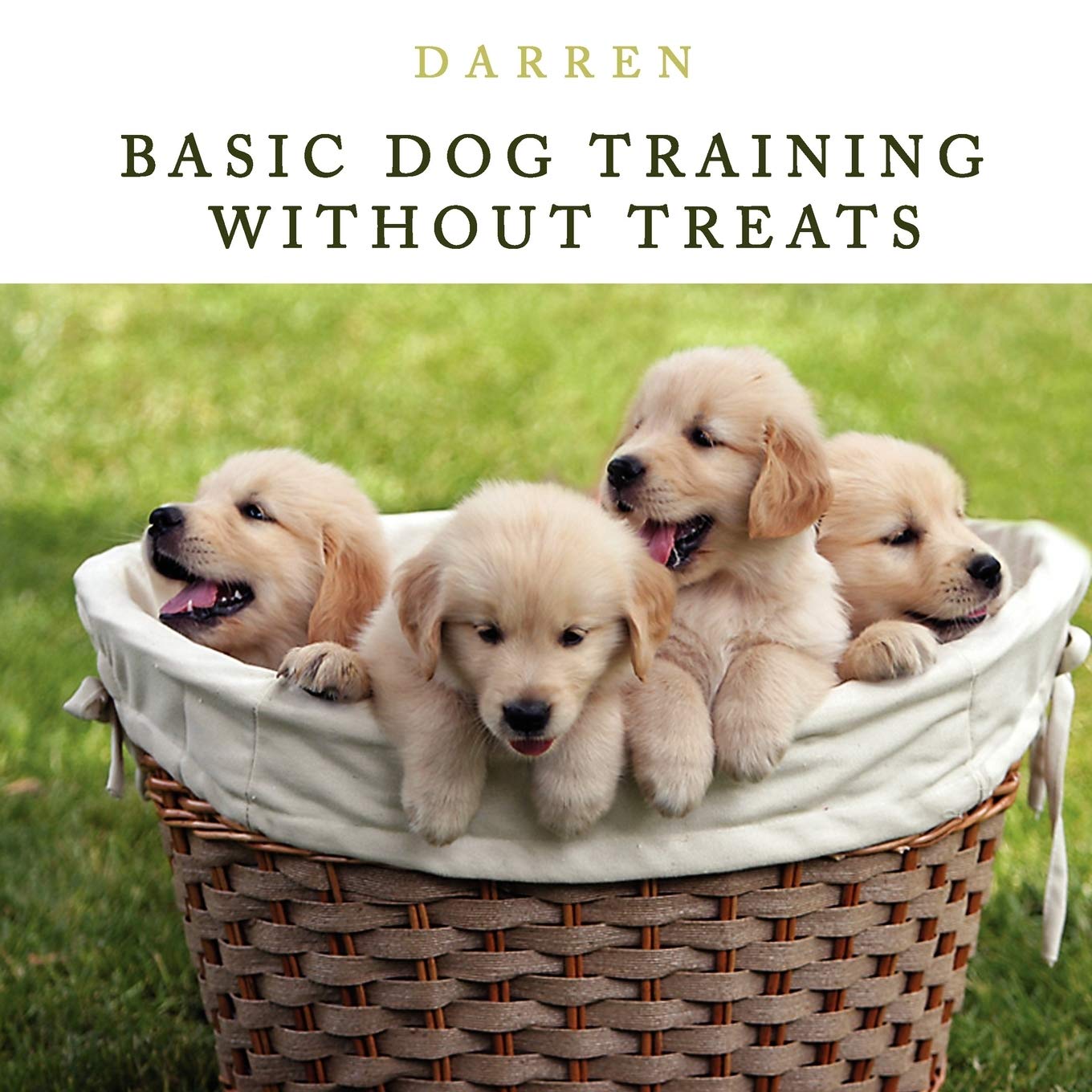 training without treats