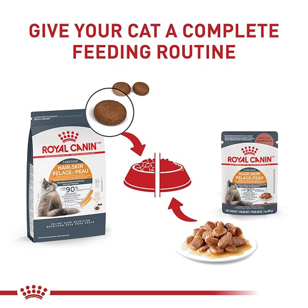 ROYAL CANIN FELINE CARE NUTRITION HAIR & SKIN CARE ADULT CHUNKS IN GRAVY CAT FOOD, 3 OZ
