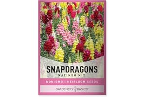 Gardeners Basics, Snapdragon Seeds for Planting (Maximum Mix Snap Dragon) Annual Flower Heirloom, Non-GMO Variety- 400mg Seeds Great for Summer Seeds for Gardening Flowers Gardens