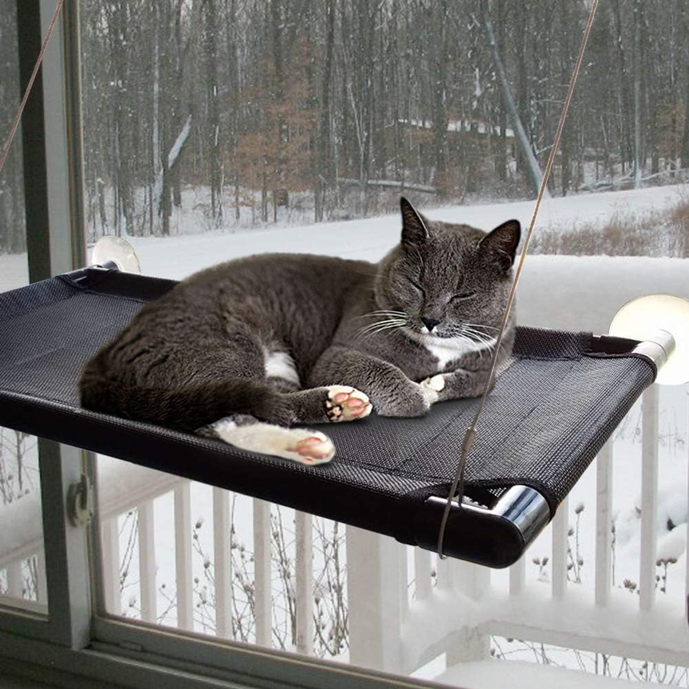 Cat Perch Cat Window Perch Window Cat Perch Hammock Cat Window Hammock Bed Cat Window Seat Kitty Window Sunny Seat Durable Big Pet Perch With Upgraded 4 Big Suction Cups Cat Bed Holds Up To 60lbs : Pet Supplies