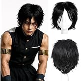 SEGO Unisex Short Fluffy Layered Straight Anime Cosplay Wig, Heat Resistant Synthetic Hair for Halloween, Party, Costume, Black Wig