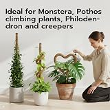 Mcbazel Moss Pole 2-Pack 60cm Bendable Coir Plant Support with Ties view 7