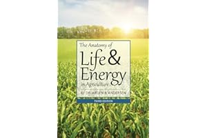 The Anatomy of Life and Energy in Agriculture