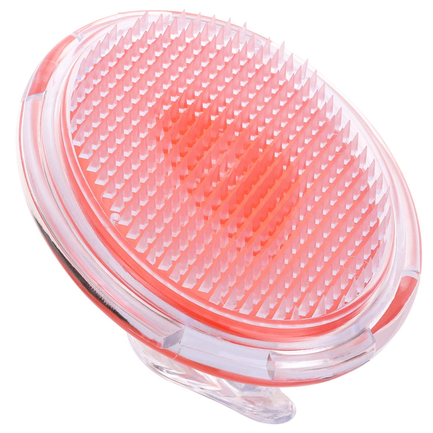 Tbestmax 3 Pcs Exfoliating Brush for Ingrown Hair, Body Scrubber, Blue Green Red : Beauty
