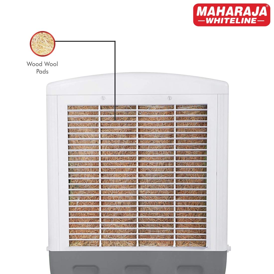 maharaja 65 ltr cooler