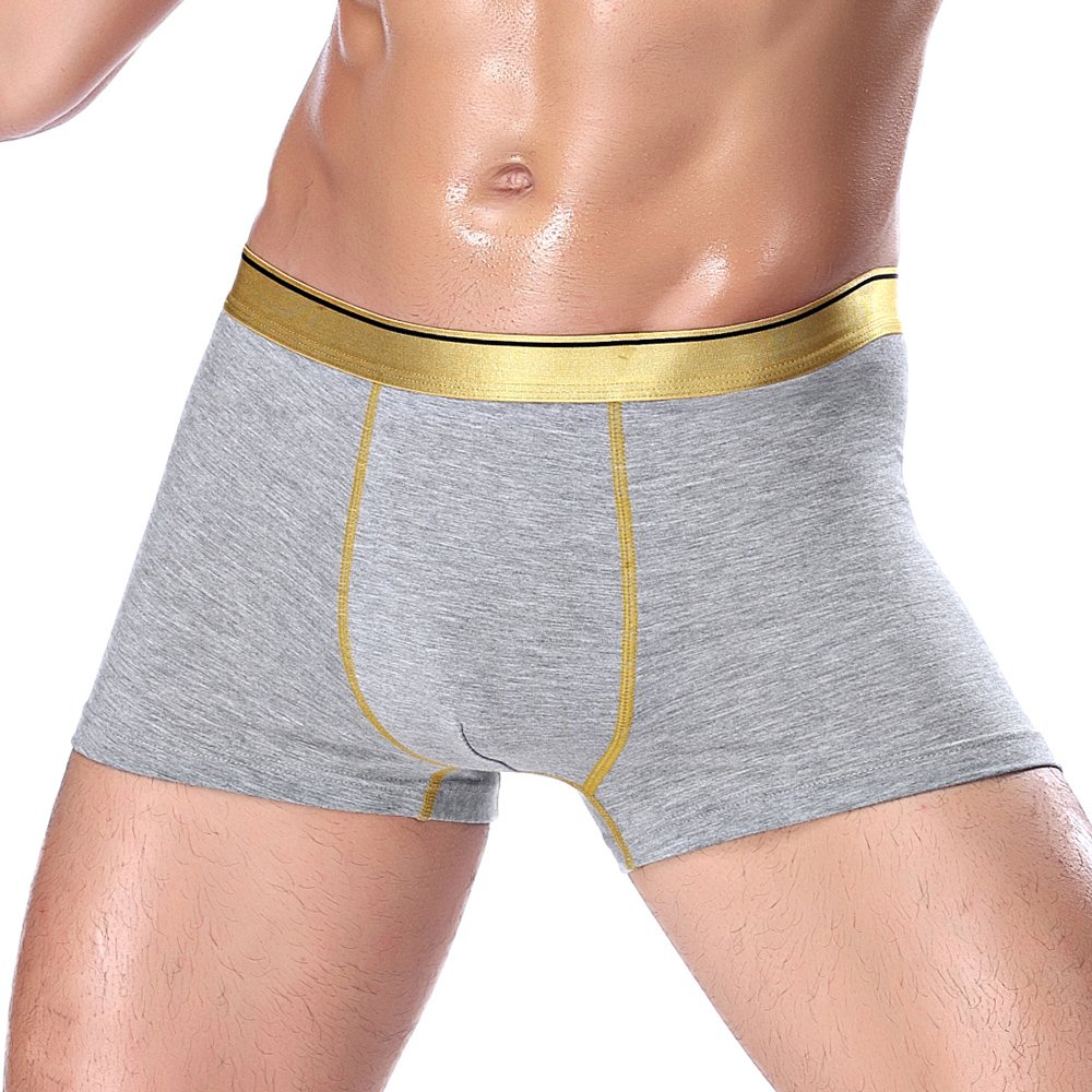 BRIGHT GG Boxer Briefs Mens Underwear Men Pack Soft Modal Healthy Breathable Underwear (L, 2)