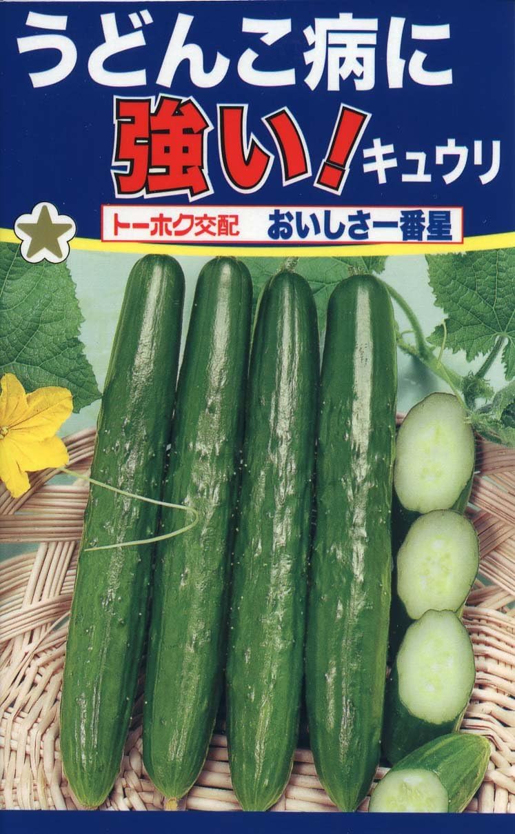 Amazon 株式会社トーホク キュウリ うどんこ病に強い おいしさ一番星 苗棚