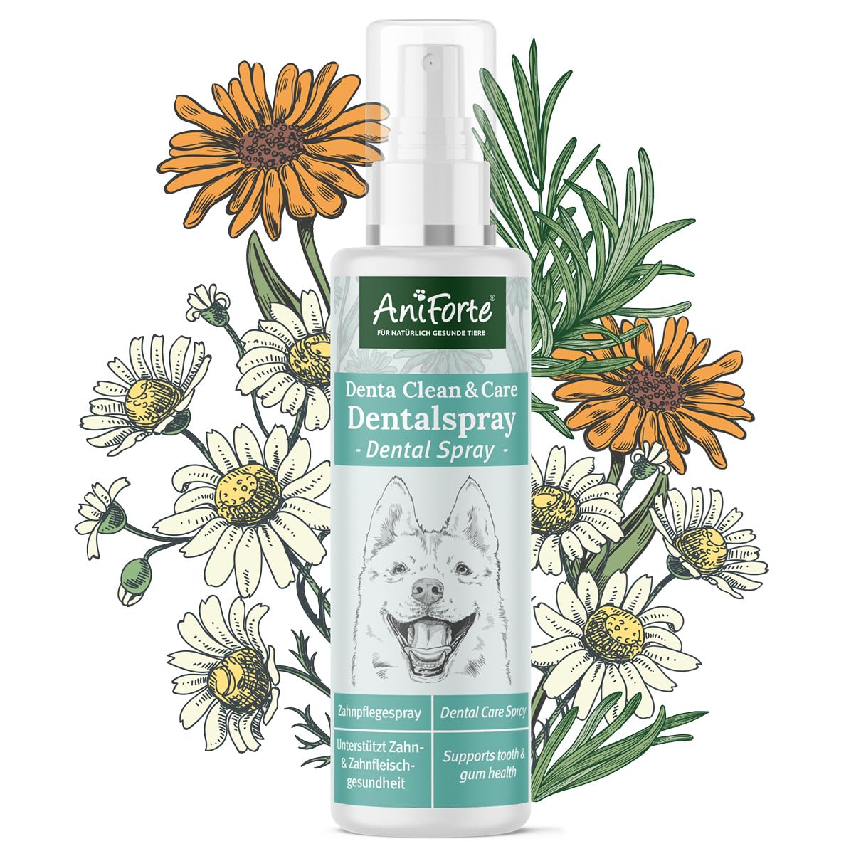 AniForte Denta Clean & Care Dentalspray for dogs 100ml - Combats bad breath & prevents plaque, teeth cleaning spray for fresh breath with natural herb extracts & calcium