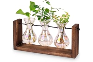 Foosibo Birthday Gifts for Women, Unique Gifts for Women, Iridescent Glass Plant Propagation Station, Tabletop Plant Bulb Vas