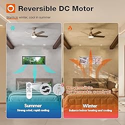 addlon Ceiling Fans with Lights, 42 inch Nickel