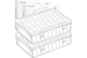 ZOQINI Bead Organizer, 60Pcs Small Clear Plastic Bead Storage Containers with Label, 2 Large Craft Storage Cases with Hinged Lid, Storage Box for Jewelry Making Diamond Art Bracelet Seed Screw Mini Parts