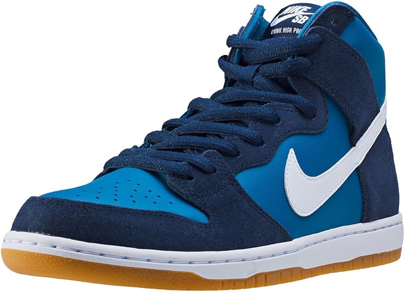 nike zoom dunk high pro