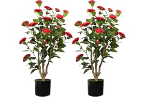 HOWNGYESIMU 38” Artificial Camellia Tree 2 Packs, Faux Camellia Plant in Pot with Red Flowers, Greenery Camellia Tree for Spring Home Front Door Outdoor Indoor Decoration, Red