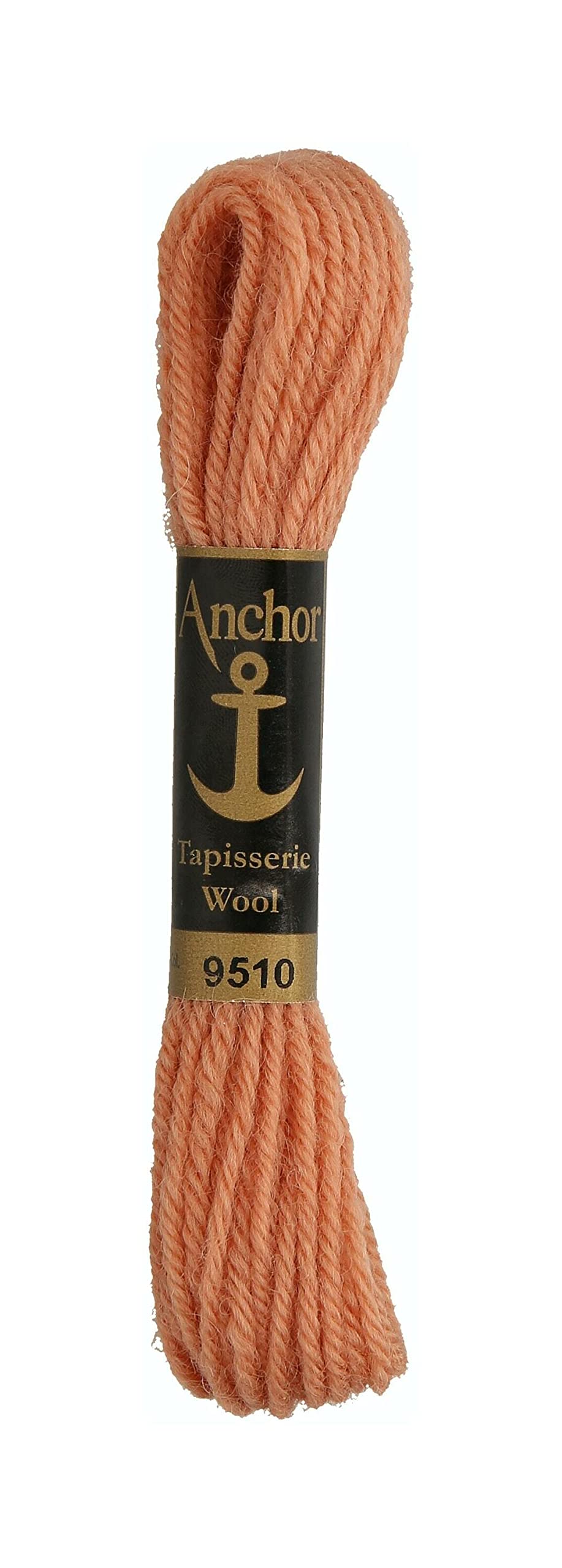 Anchor 4238000-09510 Embroidery Thread, 100% Wool, 9510, 10 m