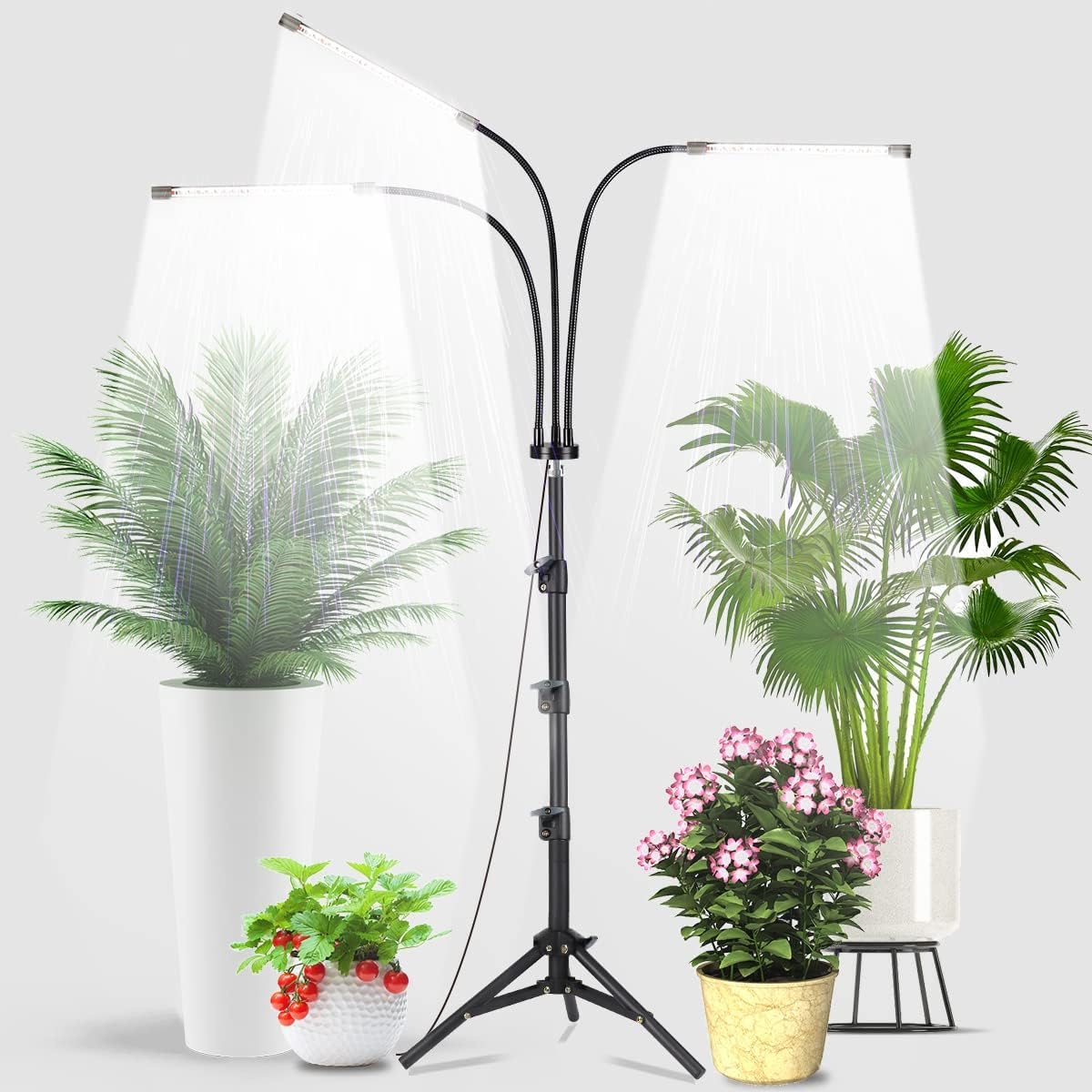 GooingTop Grow Light Floor Lamp,6000K 60W White Full Spectrum Plant Growing Lamp for Indoor Home Office Plants,5-Level Lighting Brightness,Timer 4 8 12 Hrs, Height Extendable 14-47''