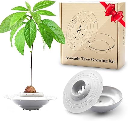 Amazon.com : GORNORVA Avocado Tree Growing Kit, UFO Avocado Planting Germinator Bowl with Pot and Plant Instructions, Christmas Gift for Women Friends Grow Your Own AvocadoTree (Avocados & Plants NOT Included) : Amazon.com : GORNORVA Avocado Tree Growing Kit, UFO Avocado Planting Germinator Bowl with Pot and Plant Instructions, Christmas Gift for Women Friends Grow Your Own AvocadoTree (Avocados & Plants NOT Included) :
