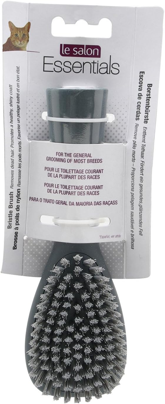 Le Salon Essentials Bristle Brush - Small