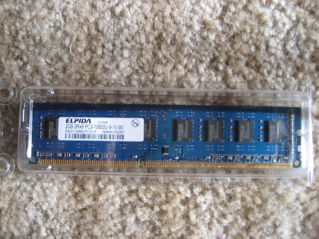 Elpida 2GB DDR3 1333 (PC3 10600) 240-Pin DDR3 SDRAM Desktop Memory Model (EBJ21UE8BDF0)