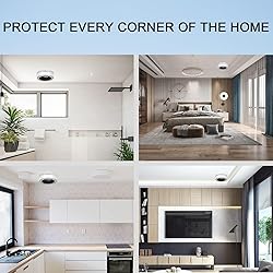 Smoke and Carbon Monoxide Detector Powered by